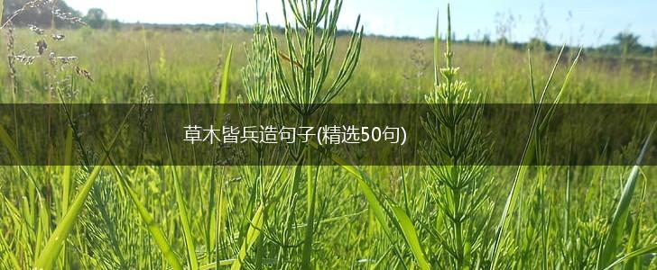 草木皆兵造句子(精选50句),第1张