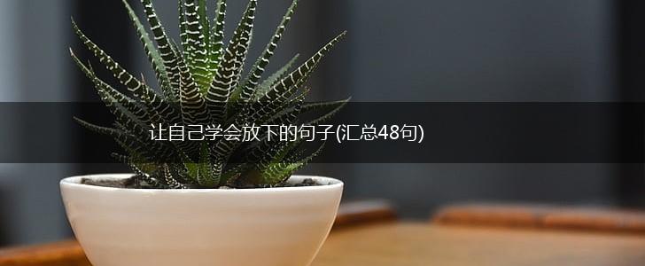 让自己学会放下的句子(汇总48句),第1张