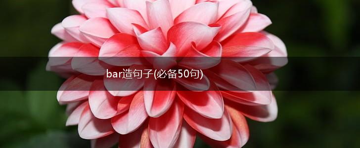 bar造句子(必备50句),第1张