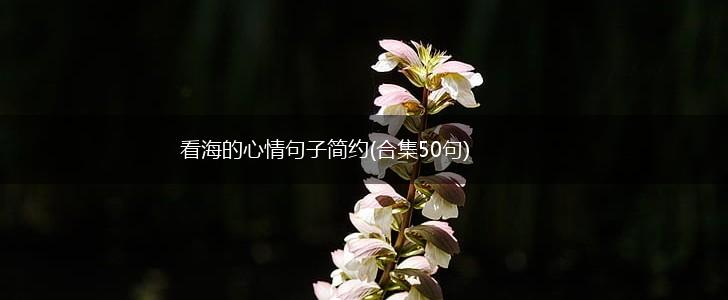 看海的心情句子简约(合集50句),第1张