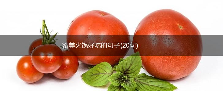 赞美火锅好吃的句子(20句),第1张