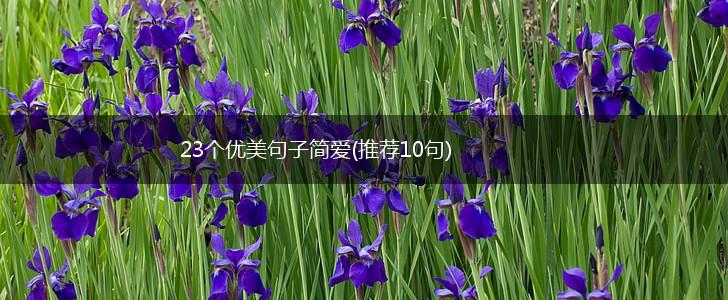23个优美句子简爱(推荐10句),第1张
