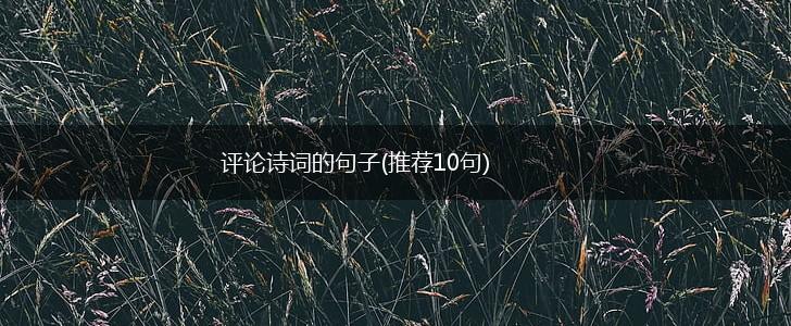 评论诗词的句子(推荐10句),第1张