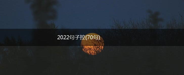 2022句子控(70句),第1张