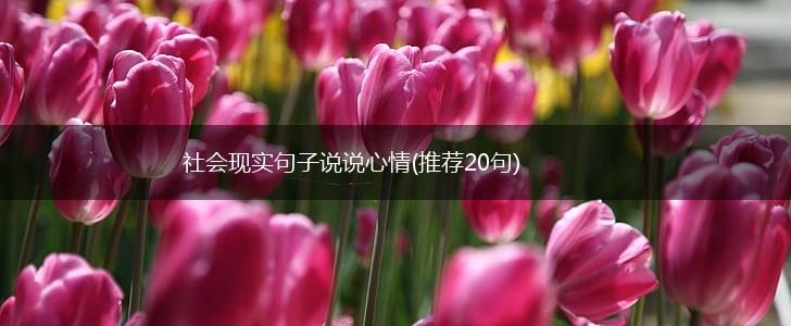 社会现实句子说说心情(推荐20句),第1张