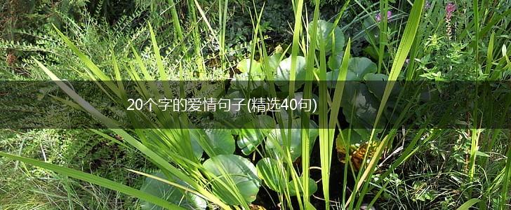 20个字的爱情句子(精选40句),第1张