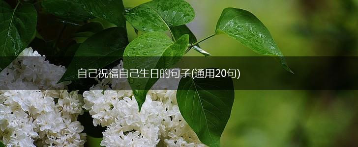 自己祝福自己生日的句子(通用20句),第1张
