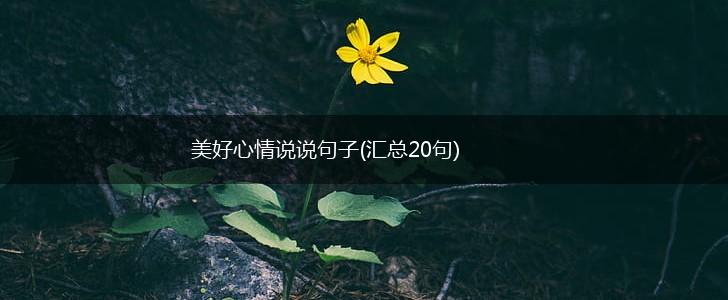 美好心情说说句子(汇总20句),第1张