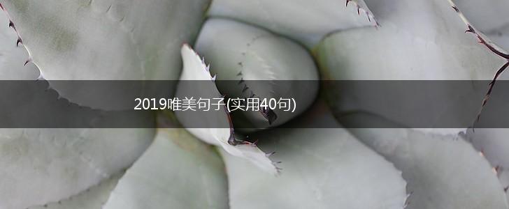 2019唯美句子(实用40句),第1张