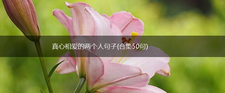 真心相爱的两个人句子(合集50句),第1张
