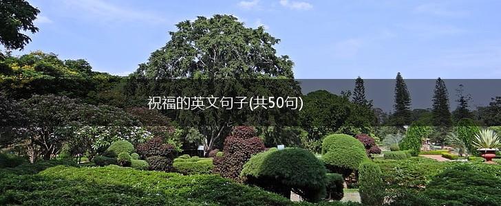 祝福的英文句子(共50句),第1张