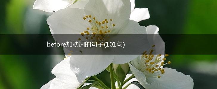 before加动词的句子(101句),第1张