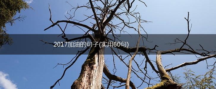 2017加油的句子(实用60句),第1张