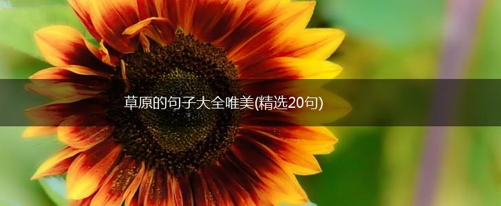 草原的句子大全唯美(精选20句),第1张