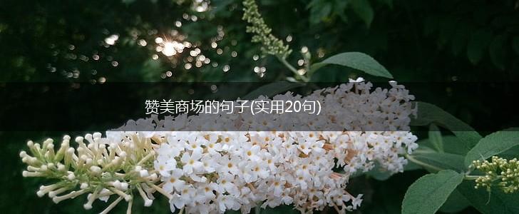 赞美商场的句子(实用20句),第1张
