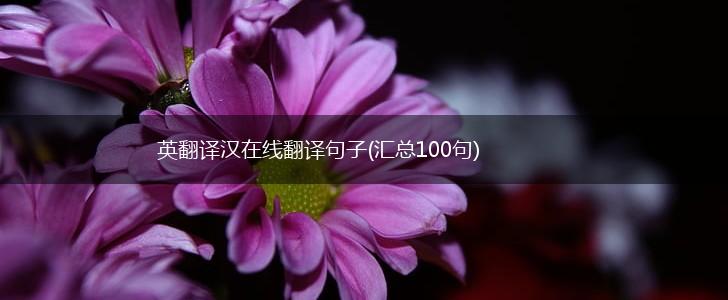 英翻译汉在线翻译句子(汇总100句),第1张
