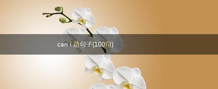 can i 造句子(100句),第1张