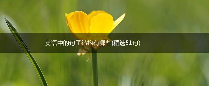 英语中的句子结构有哪些(精选51句),第1张