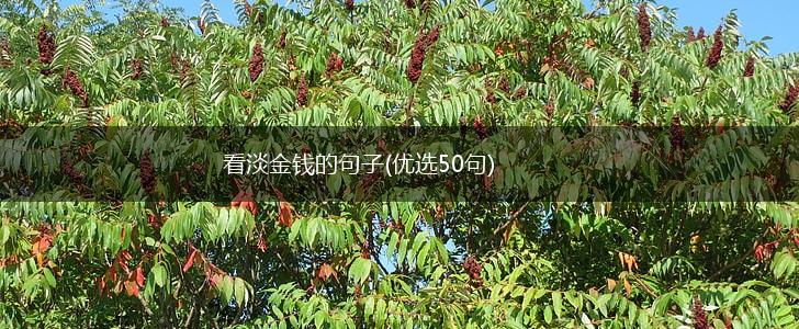 看淡金钱的句子(优选50句),第1张