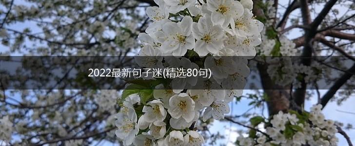 2022最新句子迷(精选80句),第1张