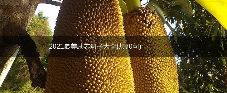2021最美励志句子大全(共70句),第1张