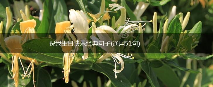 祝我生日快乐经典句子(通用51句),第1张