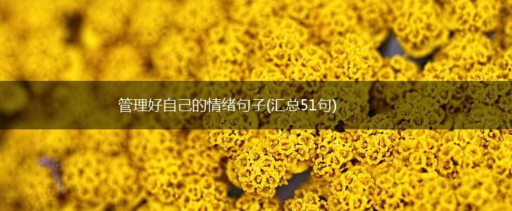 管理好自己的情绪句子(汇总51句),第1张