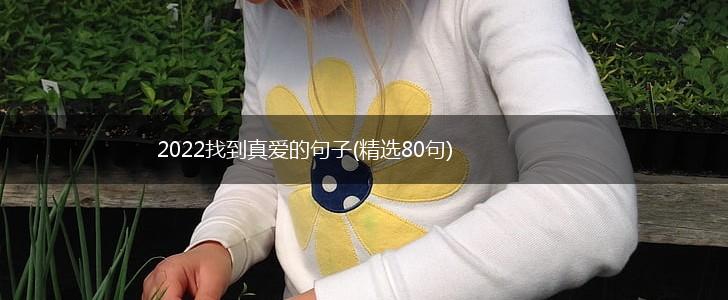 2022找到真爱的句子(精选80句),第1张