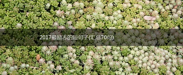 2017最励志的短句子(汇总70句),第1张
