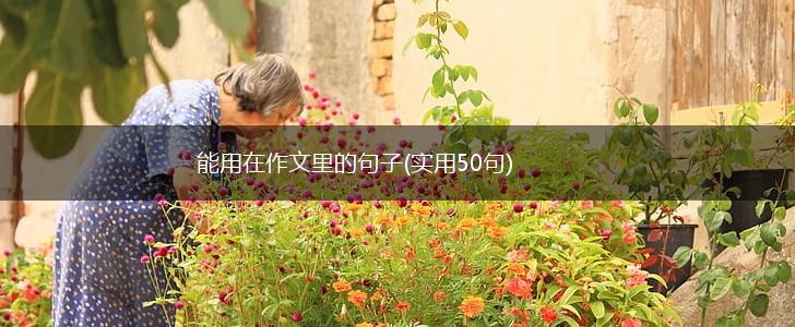 能用在作文里的句子(实用50句),第1张