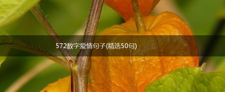 572数字爱情句子(精选50句),第1张