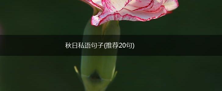 秋日私语句子(推荐20句),第1张