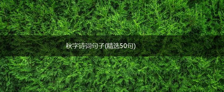 秋字诗词句子(精选50句),第1张