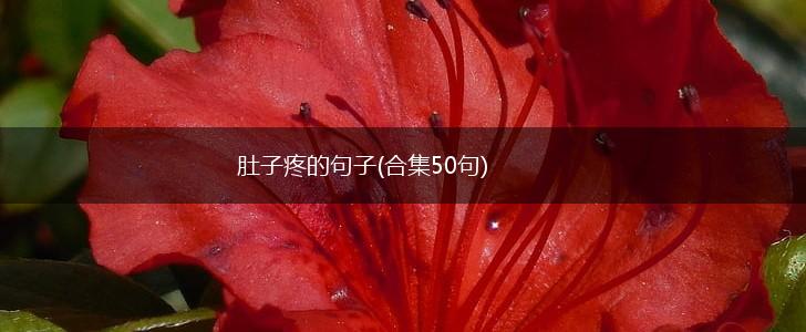 肚子疼的句子(合集50句),第1张