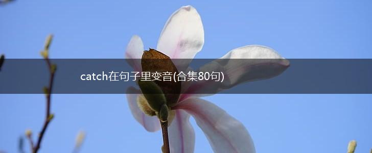 catch在句子里变音(合集80句),第1张