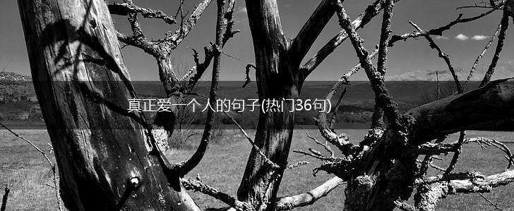 真正爱一个人的句子(热门36句),第1张