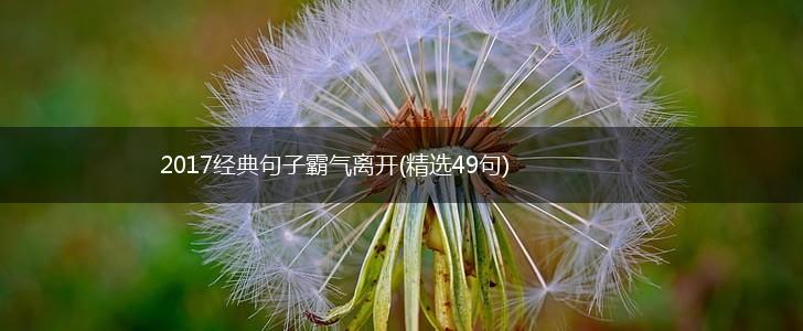 2017经典句子霸气离开(精选49句),第1张