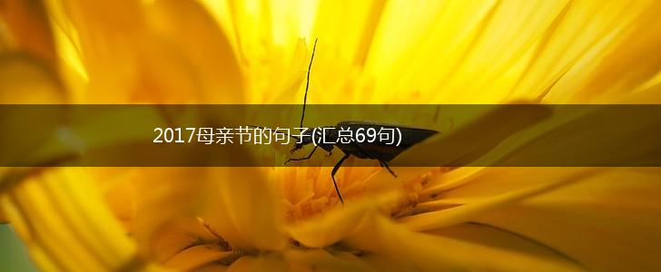 2017母亲节的句子(汇总69句),第1张