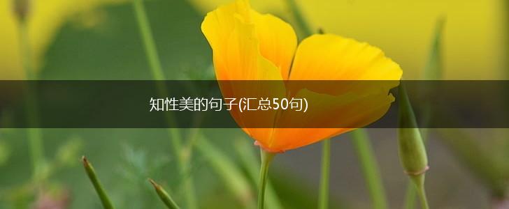 知性美的句子(汇总50句),第1张