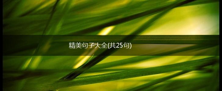 精美句子大全(共25句),第1张