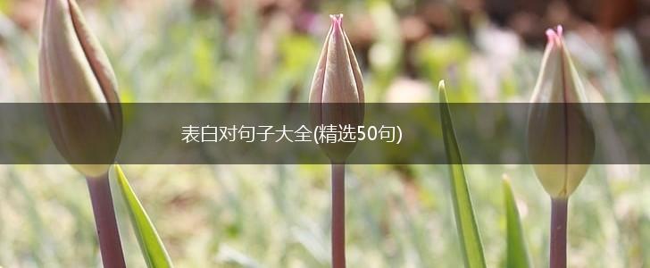 表白对句子大全(精选50句),第1张