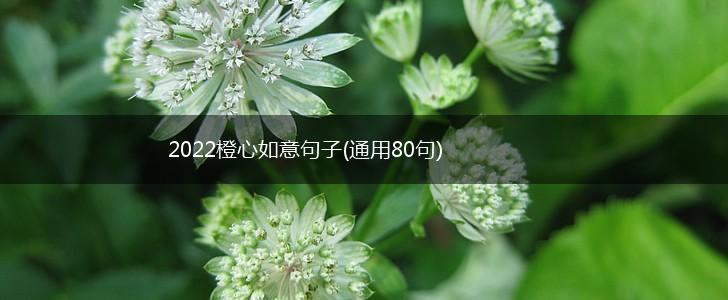 2022橙心如意句子(通用80句),第1张