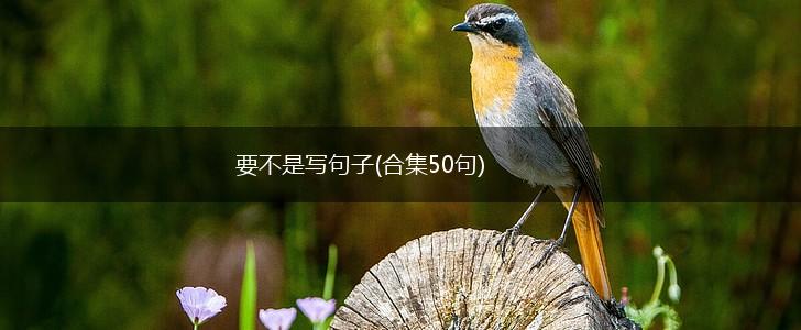 要不是写句子(合集50句),第1张