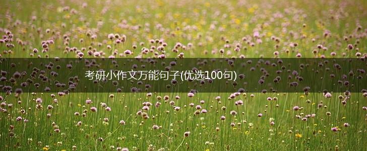 考研小作文万能句子(优选100句),第1张