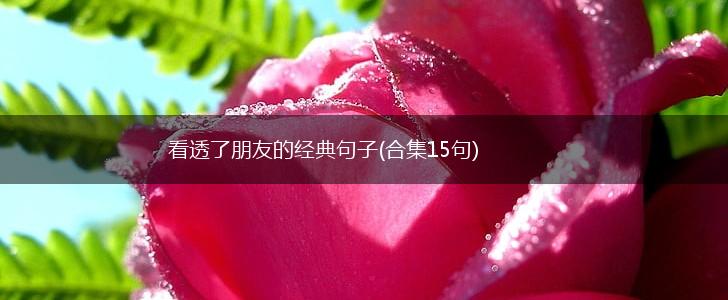 看透了朋友的经典句子(合集15句),第1张