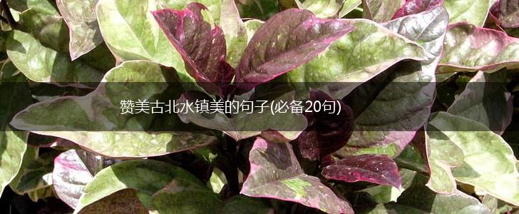 赞美古北水镇美的句子(必备20句),第1张