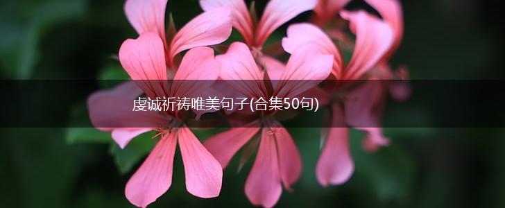 虔诚祈祷唯美句子(合集50句),第1张