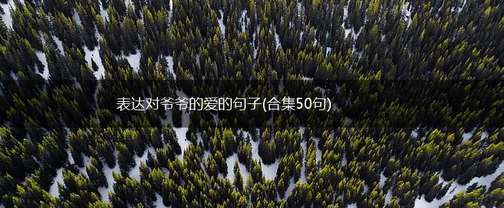 表达对爷爷的爱的句子(合集50句),第1张
