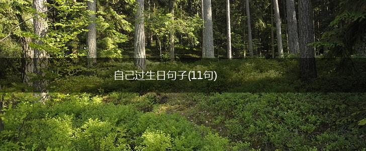 自己过生日句子(11句),第1张