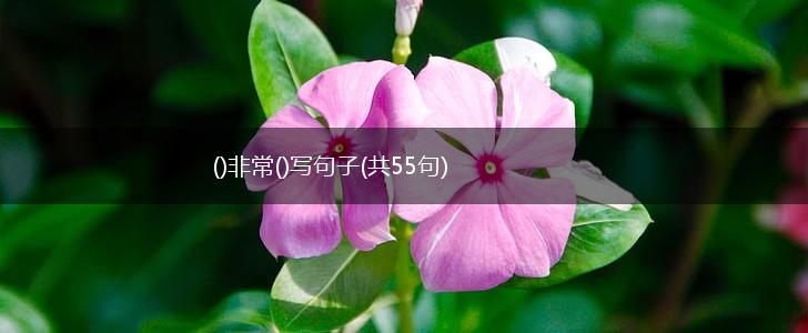 ()非常()写句子(共55句),第1张
